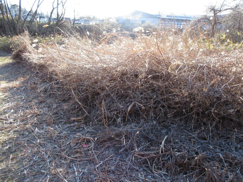 Land for Sale in Koriyama, Fukushima - 329 sqm - Thumbnail 4