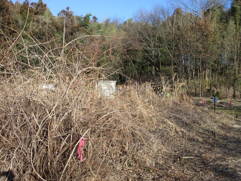 Land for Sale in Koriyama, Fukushima - 329 sqm - Thumbnail 2