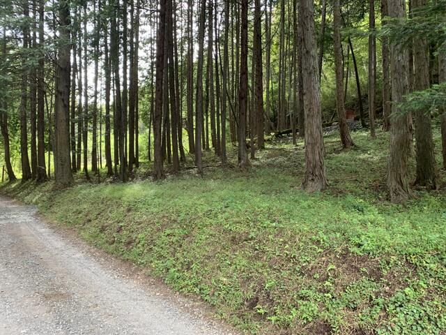 Land for Sale in Tsuru City, Yamanashi - Subdivision Potential - Thumbnail 2