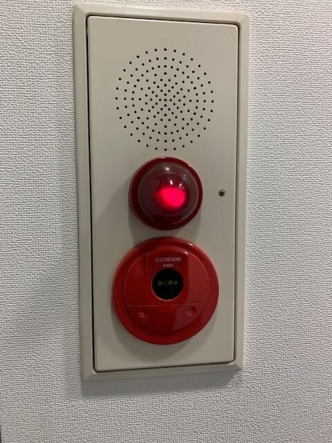 Office for Rent in Chuo, Tokyo - 203 sqm - Thumbnail 3