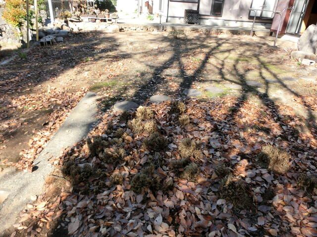 Spacious 5K House in Koshu City, Yamanashi - Thumbnail 4