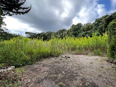 Surrounded by greenery and close to the sea, DIY-friendly homes: villas, real estate, properties for sale, Hometown Information Center: Nationwide rural living property data — Image 2, Minamiboso, Chiba