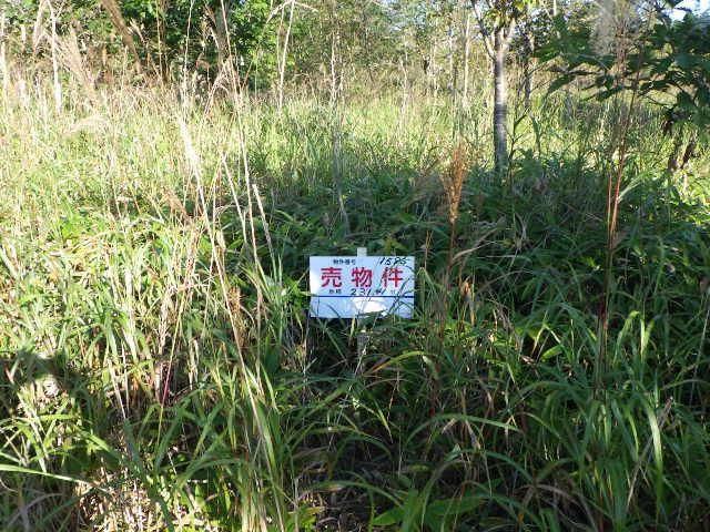 Vacant Land for Sale near Shadai Station, Tomakomai - Thumbnail 3