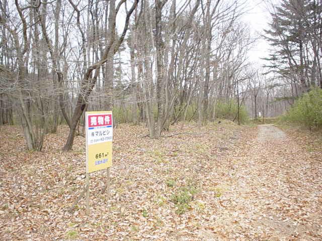 Land for Sale in Nasu Town, Tochigi - 509 sqm - Thumbnail 2