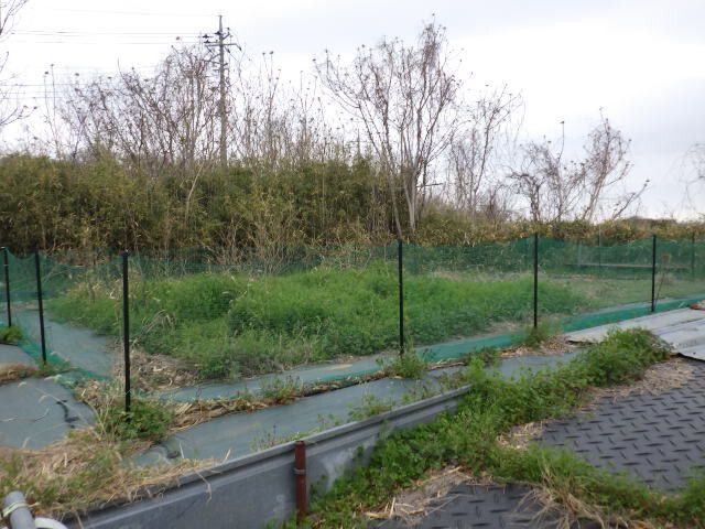 Land for Sale in Higashimatsuyama, Saitama - 230 sqm - Thumbnail 2