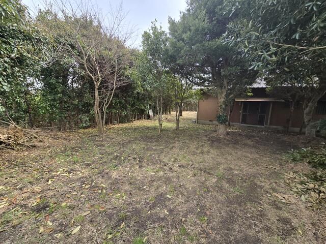 Land for Sale in Isumi City, Chiba - 1010.63 sqm - Thumbnail 4