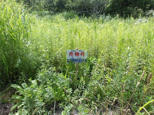 Land for Sale in Kitahiroshima, Hokkaido - 414 sqm Plot - Thumbnail 4