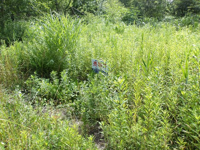 Land for Sale in Kitahiroshima, Hokkaido - 414 sqm Plot - Thumbnail 2