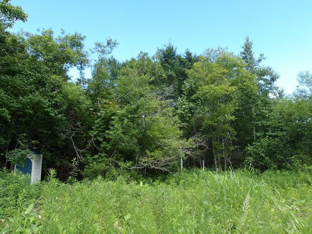 Land for Sale in Kitahiroshima, Hokkaido - 414 sqm Plot - Thumbnail 3