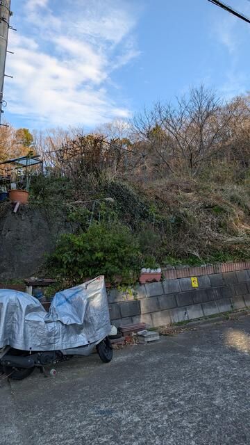 Land for Sale in Kamakura, Kanagawa - 7,301 sqm - Thumbnail 4
