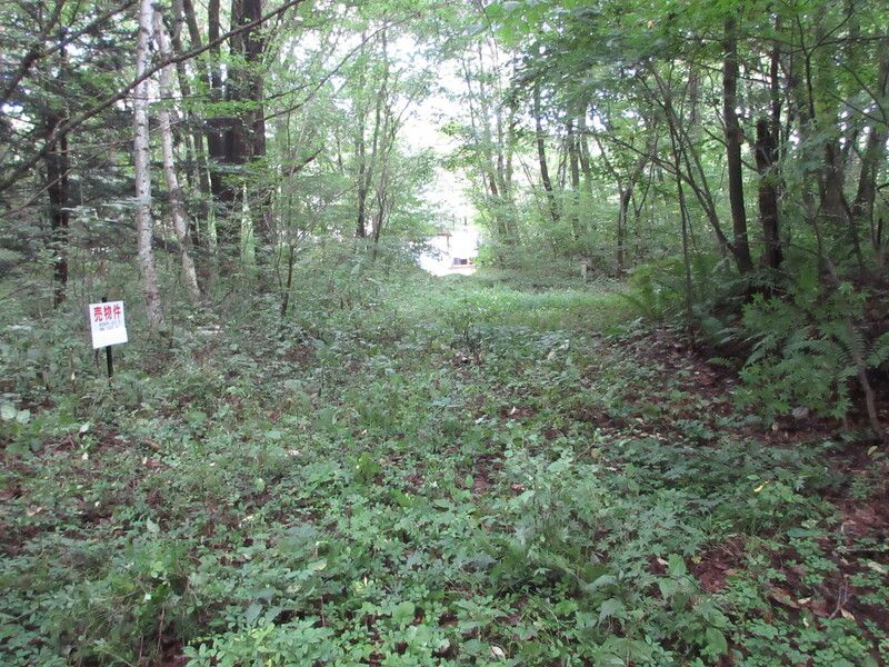 250 sqm Vacant Land for Sale in Kitakaruizawa, Gunma - Thumbnail 4