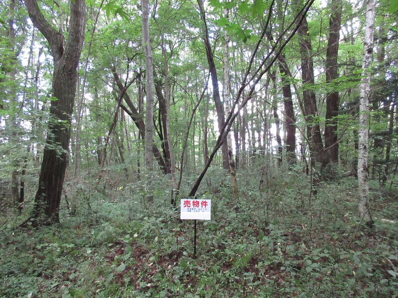 250 sqm Vacant Land for Sale in Kitakaruizawa, Gunma - Thumbnail 2