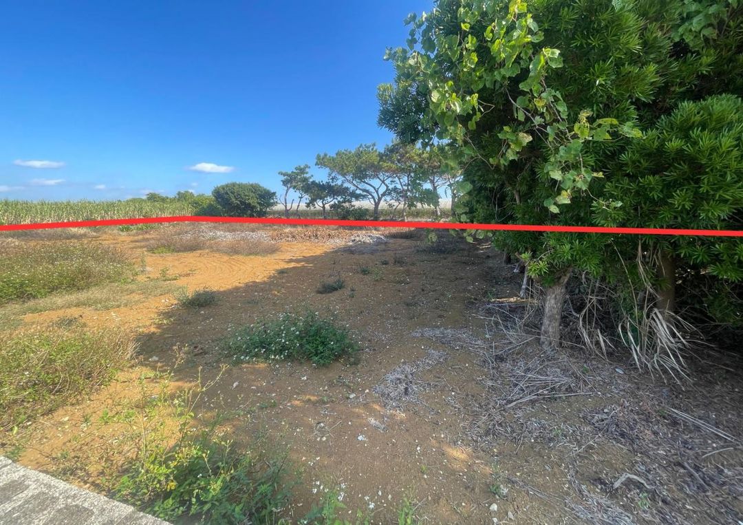 Land for Sale in Miyakojima, Okinawa - 1486.90 sqm Plot - Thumbnail 2