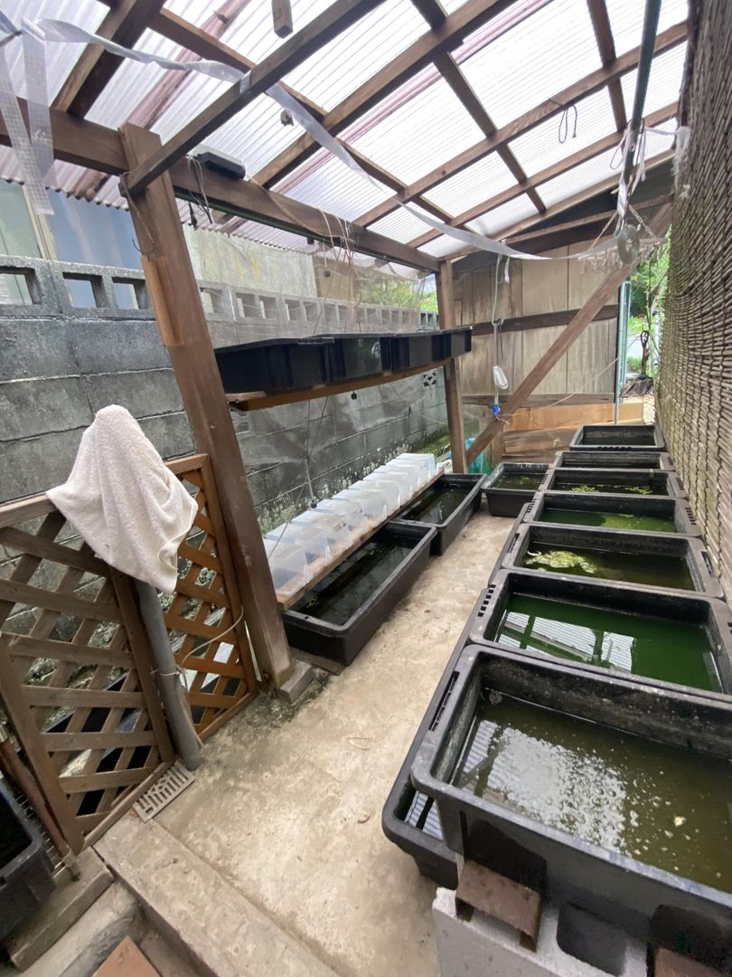 6DK Detached House on 507 sqm Land in Kasaoka, Okayama - Image 22