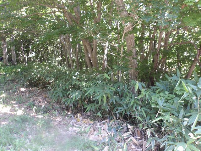 Land for Sale in Higashiyama-cho, Hakodate, Hokkaido - Thumbnail 2