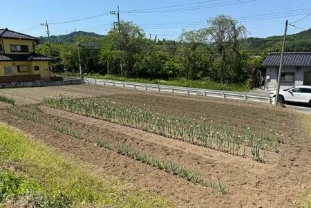 Farmland for Sale near Bushu Hino Station, Chichibu, Saitama - Thumbnail 2