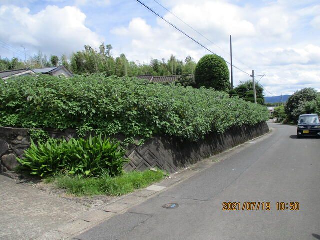 600.84 sqm Residential Land for Sale in Izumi City, Kagoshima - Thumbnail 3