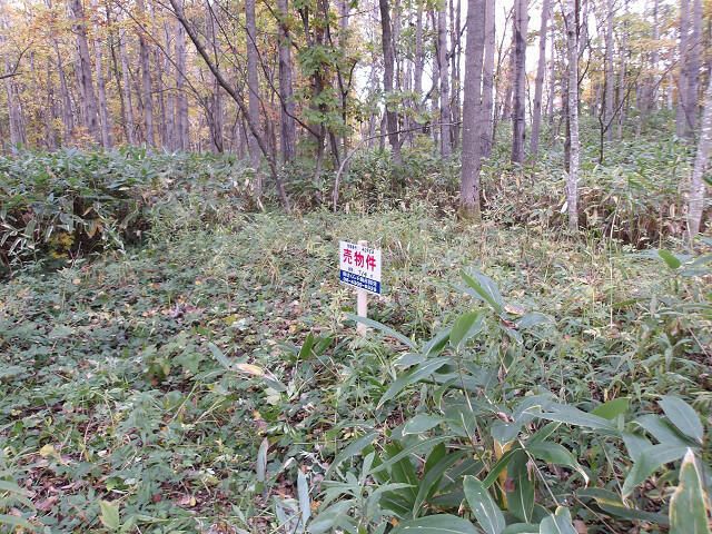 Land for Sale in Asahikawa, Hokkaido - 714 sqm - Thumbnail 2
