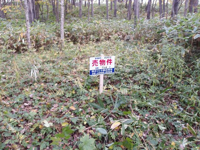 Land for Sale in Asahikawa, Hokkaido - 714 sqm - Thumbnail 3