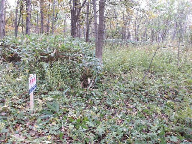Land for Sale in Asahikawa, Hokkaido - 714 sqm - Thumbnail 4