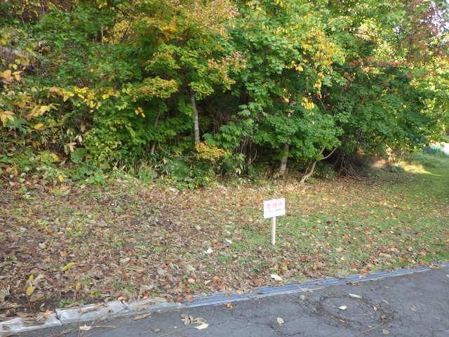 330 sqm Land for Sale in Sapporo's Prestigious Maruyama Area - Thumbnail 3