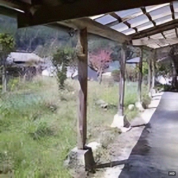 Sunny Single-Story Home Near Kumano Kodo, Wakayama - Thumbnail 2