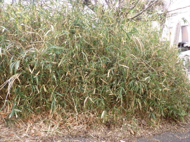 Land for Sale in Totsuka-ku, Yokohama, 112 sqm - Thumbnail 4