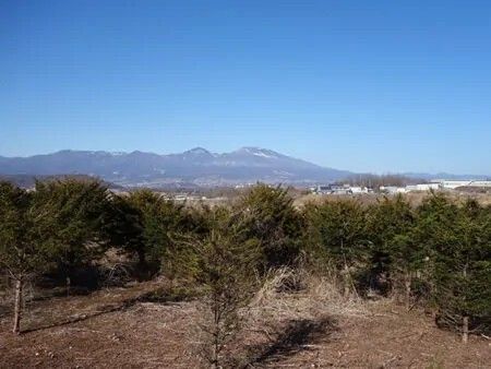 Land for Sale with Asama Mountain Views in Saku, Nagano - Thumbnail 2
