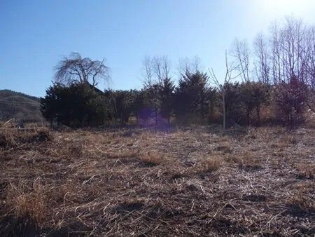 Land for Sale with Asama Mountain Views in Saku, Nagano - Thumbnail 4
