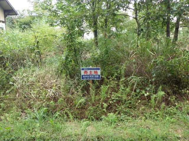 Land for Sale in Nasushiobara, Tochigi - 200 sqm Plot - Thumbnail 2
