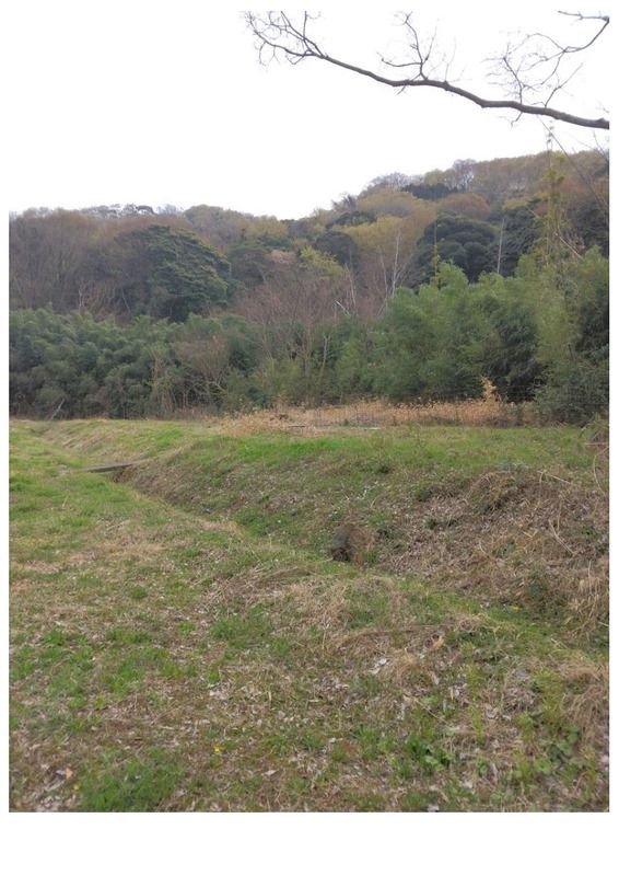Large Land for Sale in Hiratsuka Kanagawa 27394 sqm - Thumbnail 3