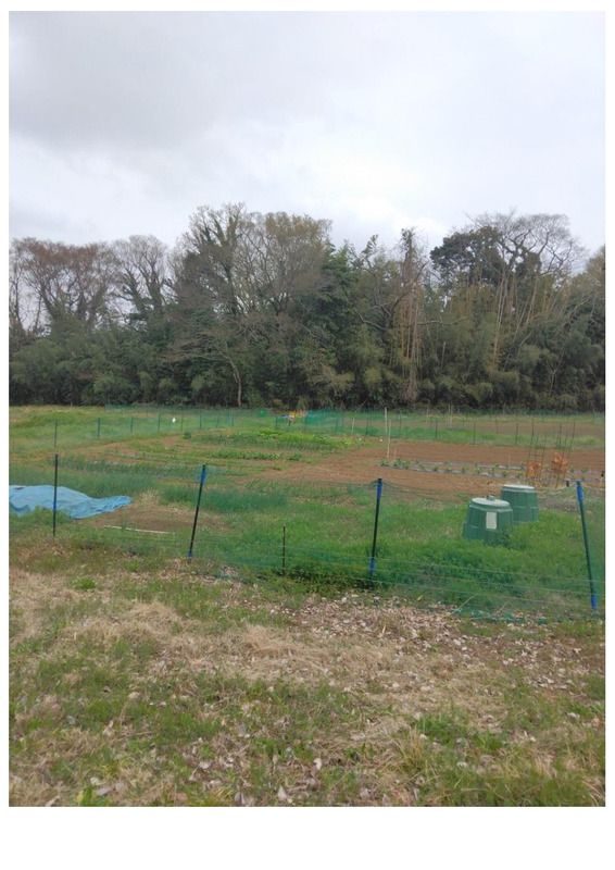 Large Land for Sale in Hiratsuka Kanagawa 27394 sqm - Thumbnail 2