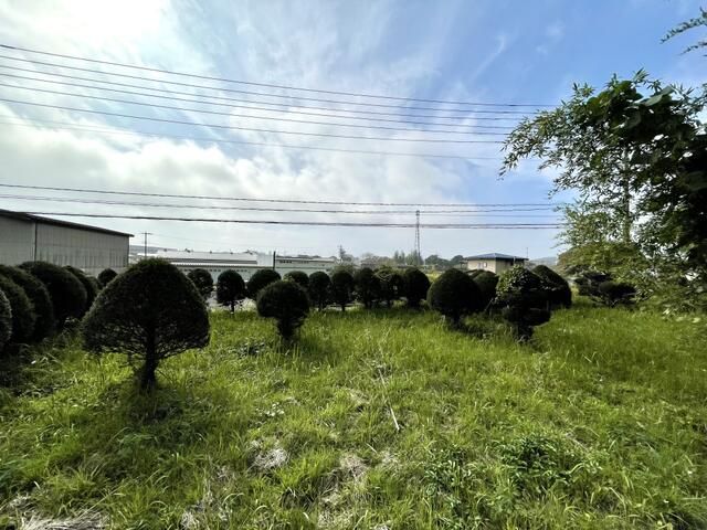 Land for Sale in Shirakawa City, Fukushima - 625 sqm - Thumbnail 3