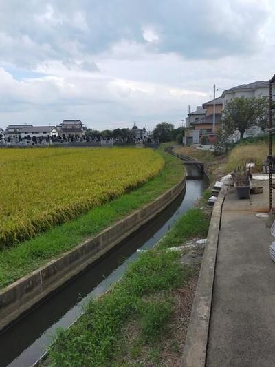 4DK Detached House on 1111 sqm Land in Iwamuma, Miyagi — Image 11, Iwanuma, Miyagi