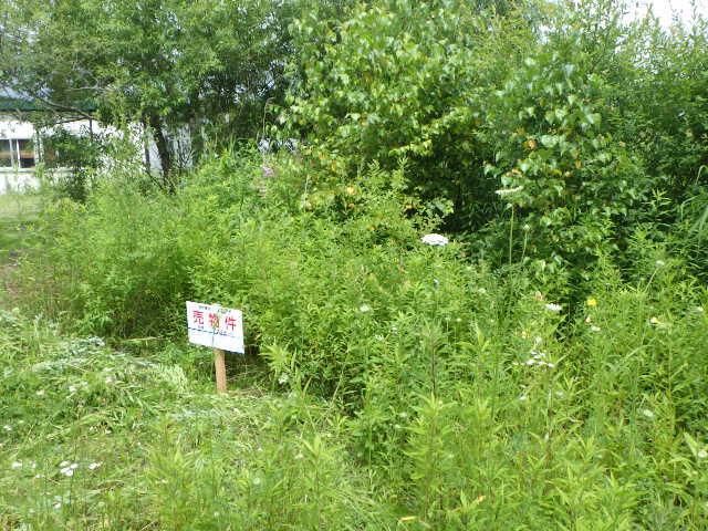 Land for Sale in Chitose, Hokkaido - 165 sqm - Thumbnail 3