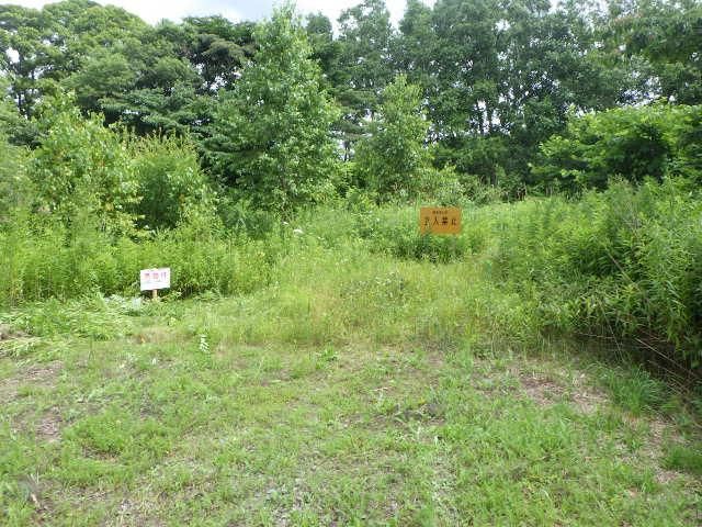 Land for Sale in Chitose, Hokkaido - 165 sqm - Thumbnail 2