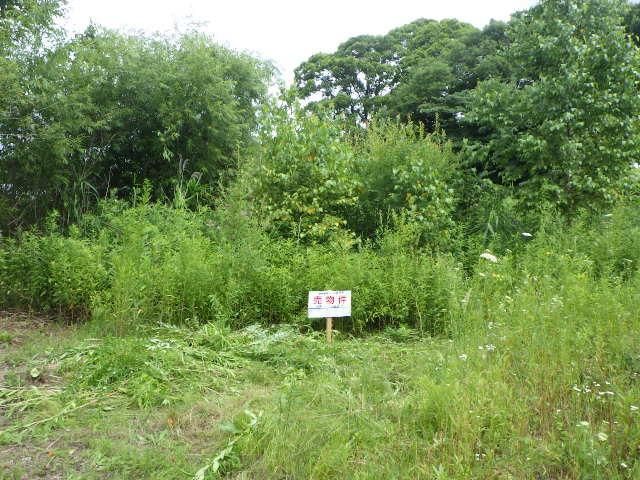 Land for Sale in Chitose, Hokkaido - 165 sqm - Thumbnail 4