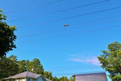 Detached House for Sale in Futo, Ito City, Shizuoka — Image 10, Ito, Shizuoka