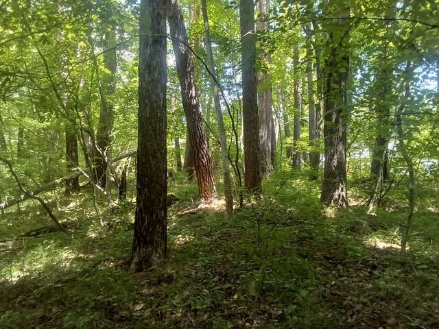 Large Residential Land Plot for Sale in Hokuto City, Yamanashi - Thumbnail 2