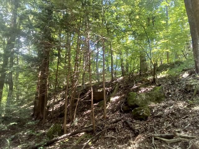 Large Residential Land Plot for Sale in Hokuto City, Yamanashi - Thumbnail 3