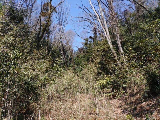 Land for Sale in Tatemachi, Hachioji, Tokyo - 26,143 sqm - Thumbnail 3