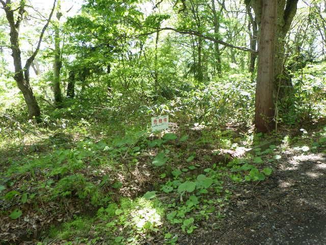 711 sqm Development Land for Sale in Hirosaki, Aomori - Thumbnail 4