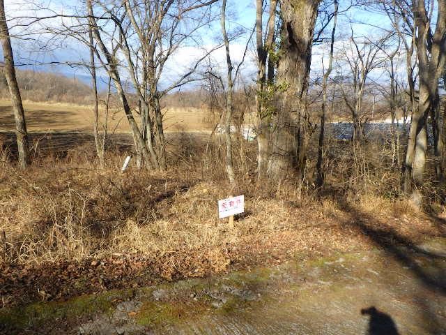 795 sqm Building Lot for Sale in Kitakaruizawa, Gunma - Thumbnail 3