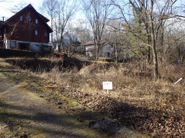 795 sqm Building Lot for Sale in Kitakaruizawa, Gunma - Thumbnail 2