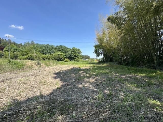 Farmland for Sale in Maebashi, Gunma - 4,042 sqm - Thumbnail 3