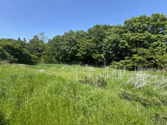Farmland for Sale in Maebashi, Gunma - 4,042 sqm - Image 1