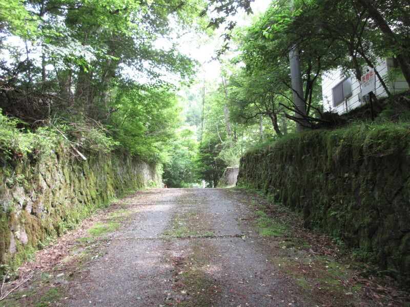 Land for Sale in Yamanakako Village Near Mount Fuji - Thumbnail 4