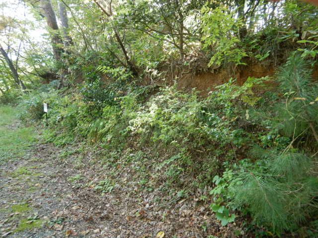 297 sqm Residential Land for Sale in Kashiwazaki, Niigata - Thumbnail 3