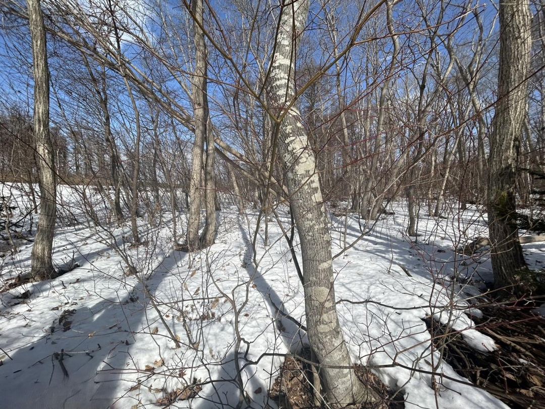 Land for Sale in Chitose, Hokkaido - 519 sqm - Thumbnail 3