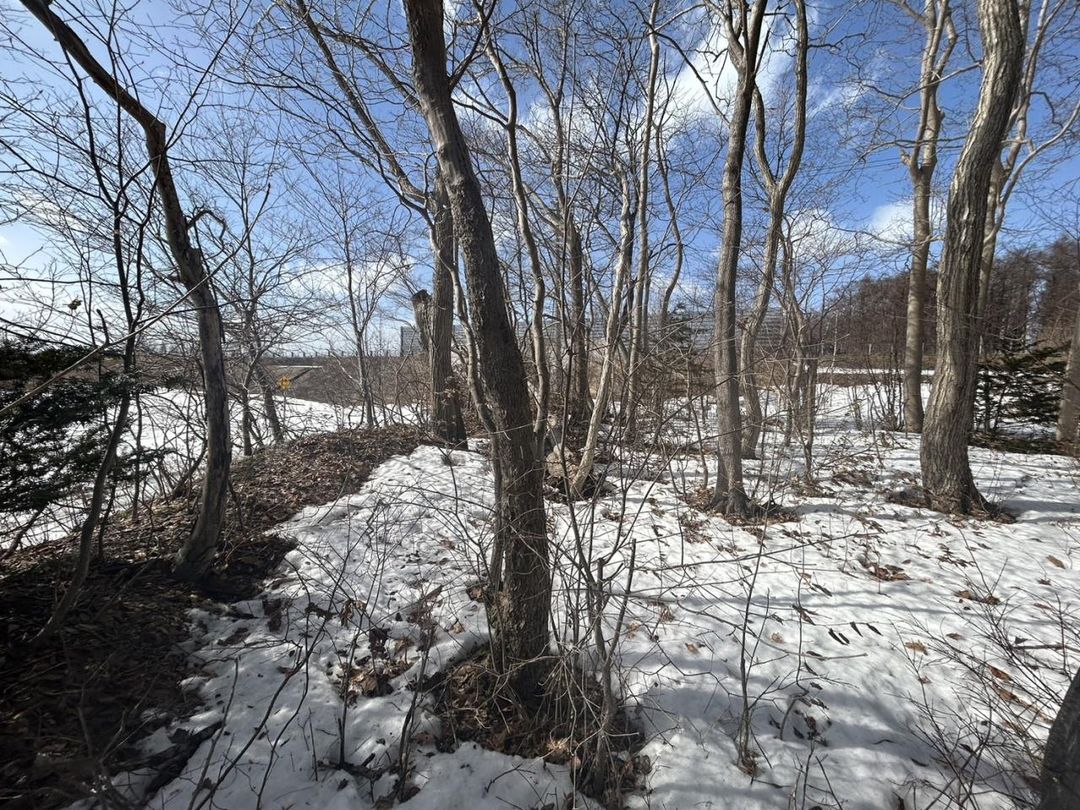 Land for Sale in Chitose, Hokkaido - 519 sqm - Thumbnail 4
